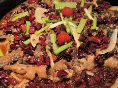 -老板恋上鱼(印象城店)