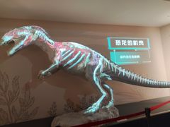 -自贡恐龙博物馆
