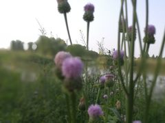 -新达口腔(华东理工大学店)