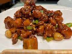 -正阳春烤鸭(华捷道店)