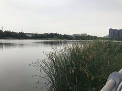 -美兰湖景区