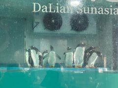 -沈阳奥林匹克体育中心