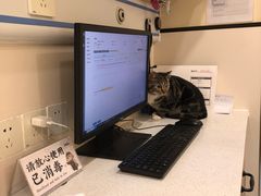 -萌兽医馆·犬猫专科·眼科中心·宠物医院(朝阳门分院)