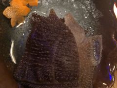 鲜毛肚-湊湊火锅·茶憩(杭州湖滨银泰in77店)