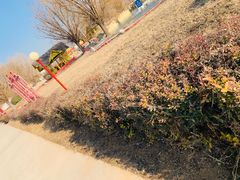-北京莲花山滑雪场
