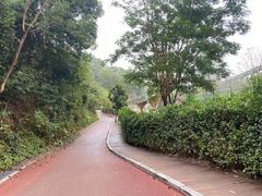 -鹅滋道(甘坑古镇店)