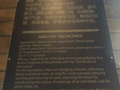 -裕龙汤泉
