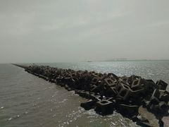 -东疆建设开发纪念公园