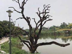 -鹤之洲湿地公园