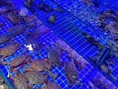 -渔民船说·北塘海鲜·天津菜·海肠捞饭(北塘古镇店)