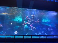 -泉城欧乐堡海洋极地世界