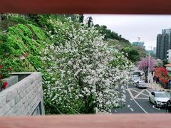 -小南山公园