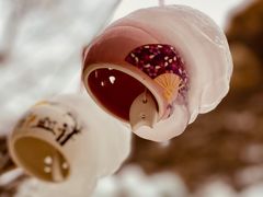 -黑龙潭风景区