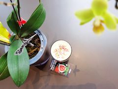 -Seesaw Coffee(苏州中心店)