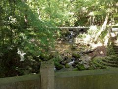 -东天目山风景区