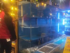 -小俩口烧烤东北菜(双井店)