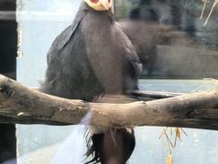 -青藏高原野生动物园