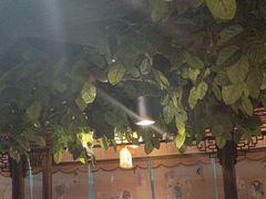 -四世同堂·京菜·烤鸭(双井店)