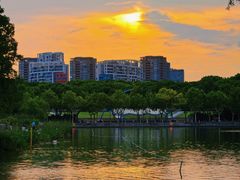 -上海世纪汇广场