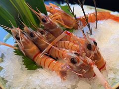 -Mr.Fish鱼鲜生海鲜放题(高德置地冬广场店)
