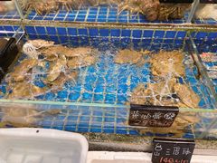 -飞尝蚝·顺德菜·鱼生(顺德总店)