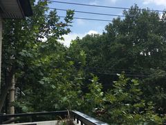 -徐家汇源景区-衡山坊