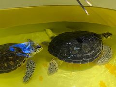 -秦皇岛新澳海底世界