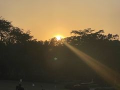 -东莞植物园