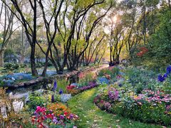 -上海共青森林公园