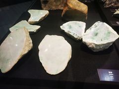 -烟台自然博物馆