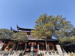 -溪口-滕头旅游景区