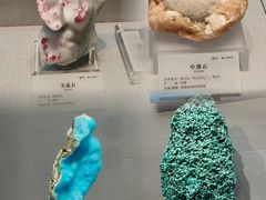 -湖南省地质博物馆