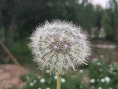 -1973继光香香鸡(合生汇购物中心店)