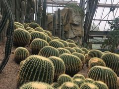 -南山植物园