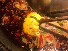 -渝涯重庆豆花老火锅(中赢国际店)