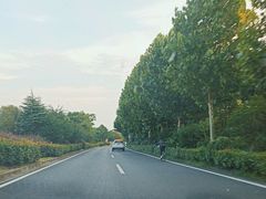 -巢湖名吃·东关老鹅汤(江南风情街店)