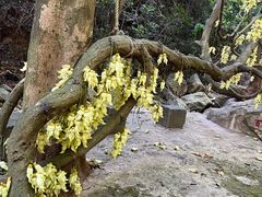 -牛鱼嘴原始生态风景区