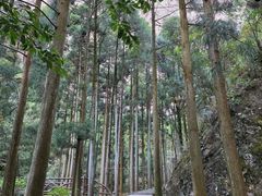 -雁荡山风景名胜区