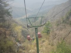 -王顺山国家森林公园