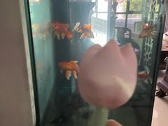 -盒马鲜生(丁香国际店)
