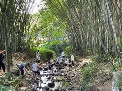 -田心森林公园