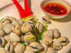 白灼血蛤-小厨师·二十年沈家门小海鲜(百井坊巷店)