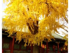 -恭王府博物馆