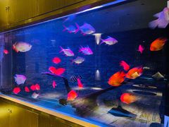 -手佳·水疗汇(嘉益店)