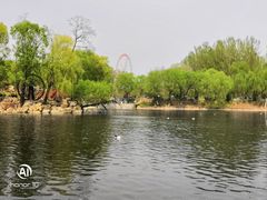 -石家庄市动物园