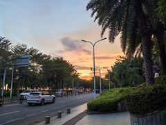 -小海豚•老字号海鲜餐厅(天涯店)