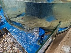 -永红源·啤酒烧烤海鲜大排档(台柳路店)