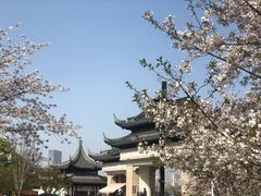 -苏州上方山国家森林公园