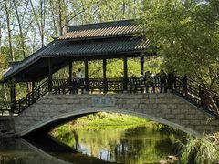 -合肥滨湖国家森林公园