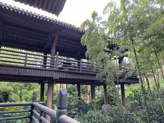 -大唐贡茶院